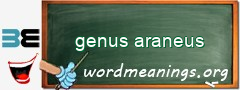 WordMeaning blackboard for genus araneus